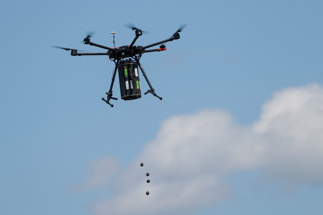 Reuters shkruan për dronin që lëshon toptha të vegjël me fara të pishës  në periferi të Prishtinës