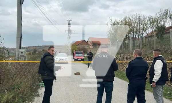 Dy vëllezërit që u vranë nga dhëndrri dyshohet se janë mërgimtarë  kishin ardhur në të pamë për babanë