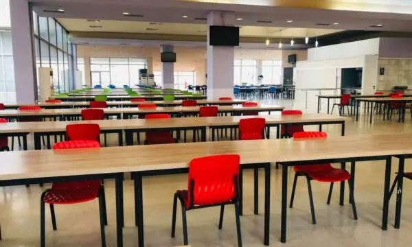 Miu në Mensën e UP së  drejtori  Në fundjavë mbyllet për dezinfektim