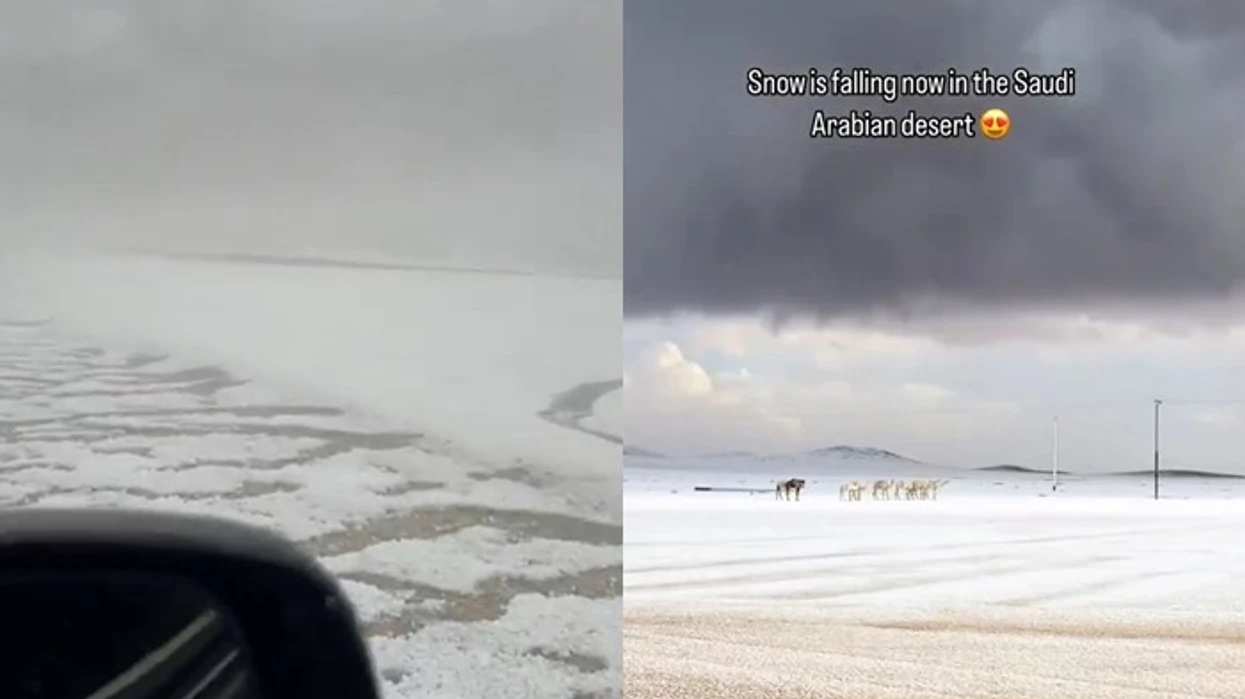 Shkretëtira arabe zbardhet nga bora   pamje të rralla