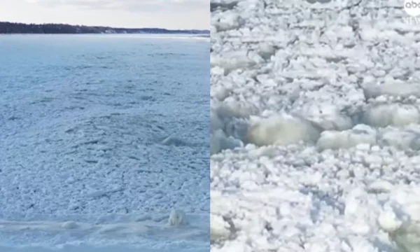 Temperatura ekstreme në SHBA  ngrihet liqeni i Michiganit