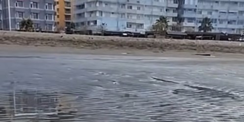 fenomen-i-rralle-ne-shengjin-terhiqet-deti-del-rera