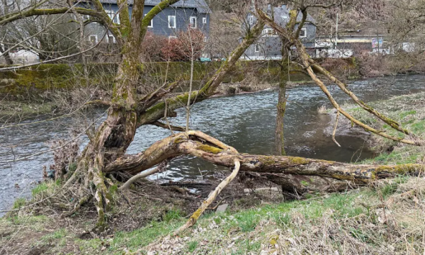 Ishte në çerdhe  si erdhi deri te vdekja tragjike e trevjeçarit shqiptar në Gjermani 