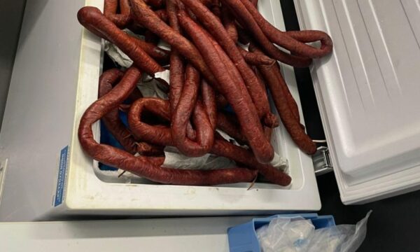 Shtutgart  Në autobusin nga Kosova doganierët gjejnë 250 kilogramë mish dhe një qenush