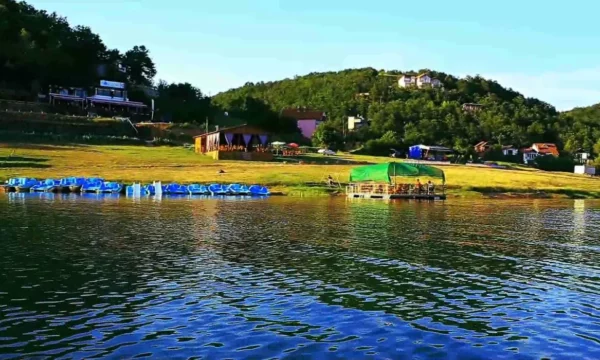 Ndërhyrja e shpejtë e policisë në Batllavë  shpëtohet një fëmijë