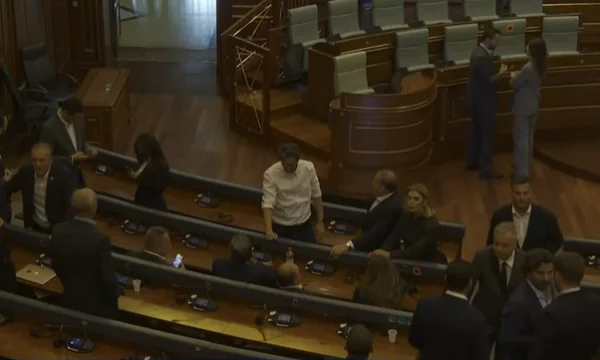 Emri i Justina Pulës për Presidente i çon në sallë deputetët e VV e PDK